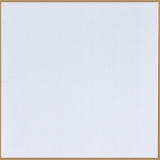 金框